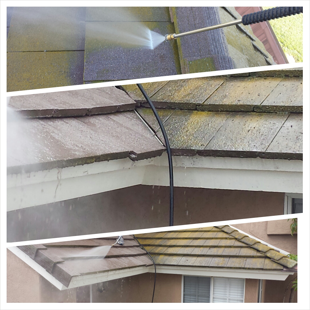 roof mold power wash